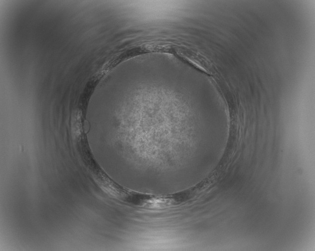 X0000053130323200507251756