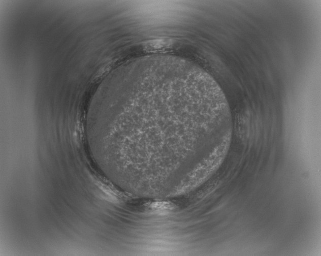 X0000053130324200507251756