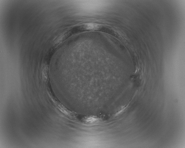 X0000053130325200507251756