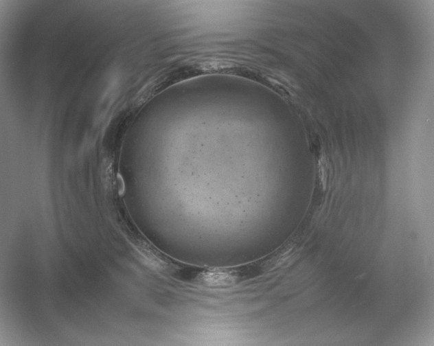 X0000053130327200507251756