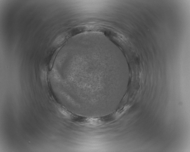 X0000053130333200507251756