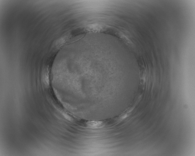 X0000053130334200507251756