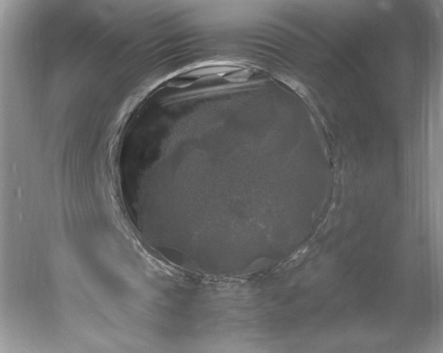 X0000053130337200507251755