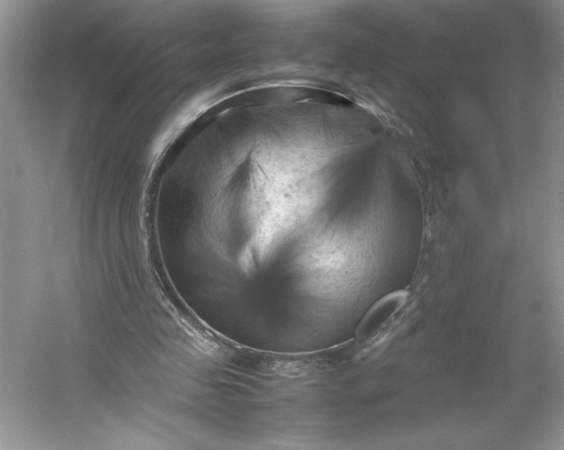 X0000053130341200507251755
