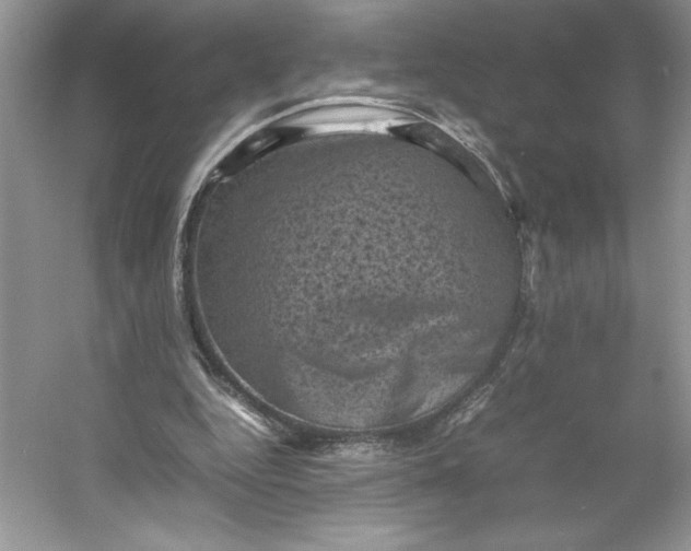 X0000053130344200507251755