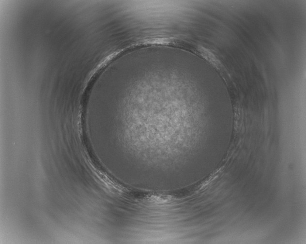 X0000053130346200507251755