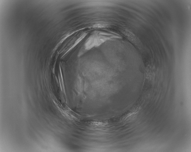 X0000053130347200507251755