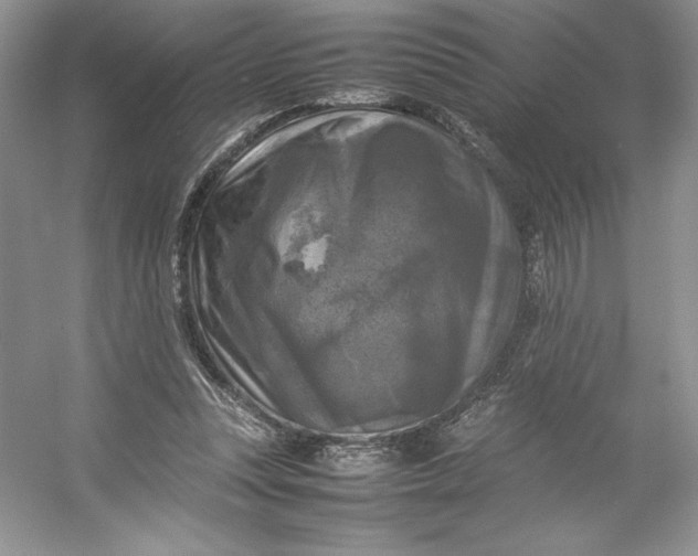 X0000053130351200507251755