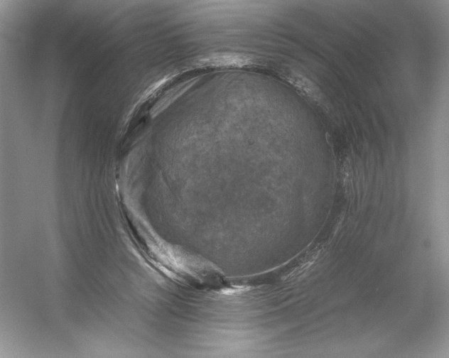 X0000053130352200507251755