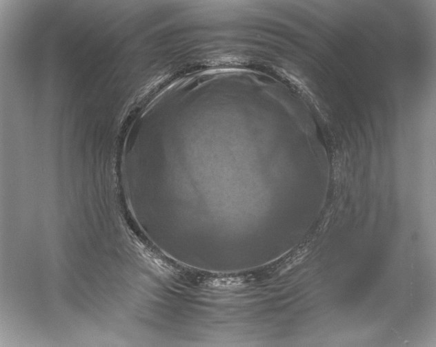 X0000053130353200507251755