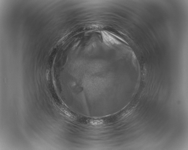 X0000053130355200507251755