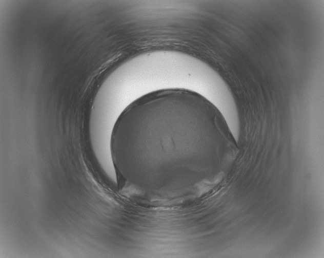 X0000053130356200507251755