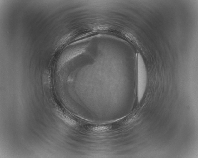 X0000053130357200507251755
