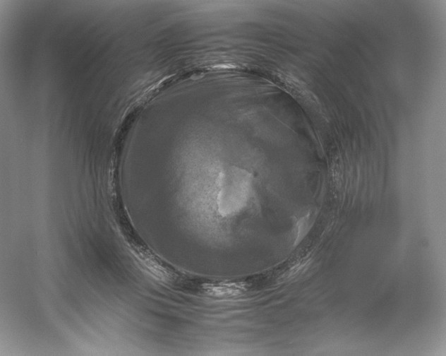 X0000053130359200507251755