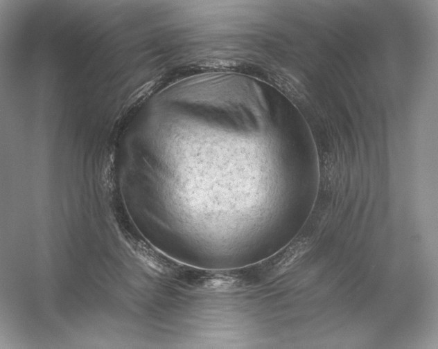 X0000053130364200507251755
