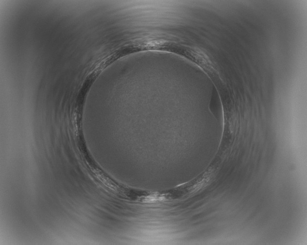 X0000053130366200507251755