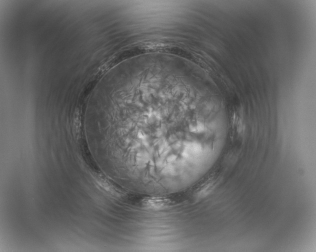 X0000053130372200507251755