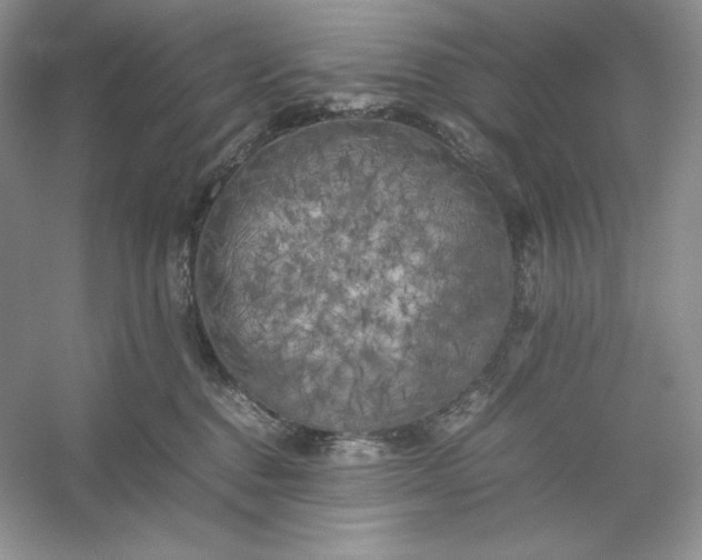 X0000053130376200507251755