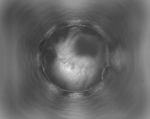 X0000053130378200507251755