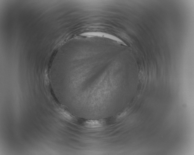 X0000053130381200507251756