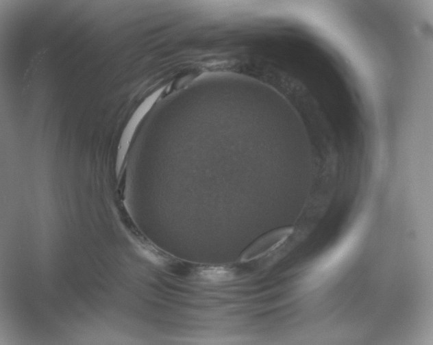 X0000053130383200507251756