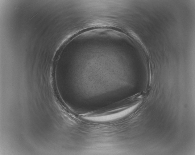 X0000053130387200507251755