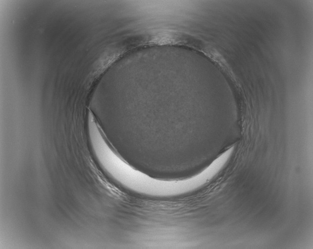 X0000053130393200507251755