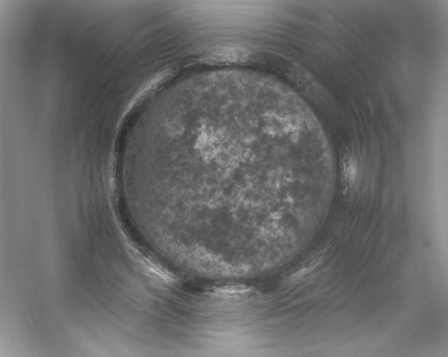 X0000053130396200507251755