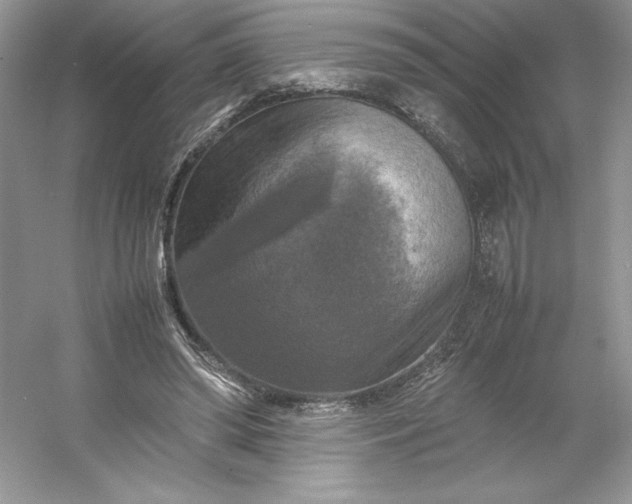 X0000053130398200507251755