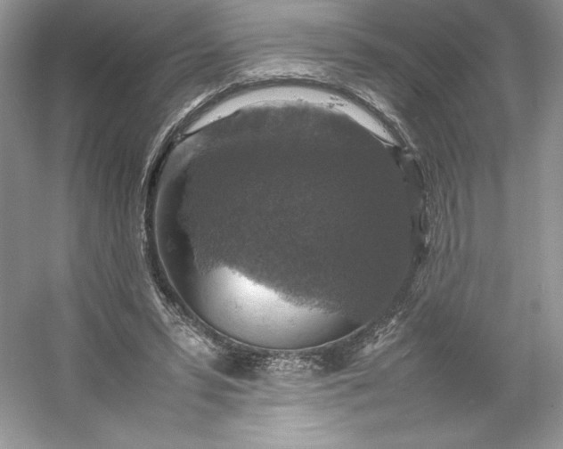 X0000053130399200507251755