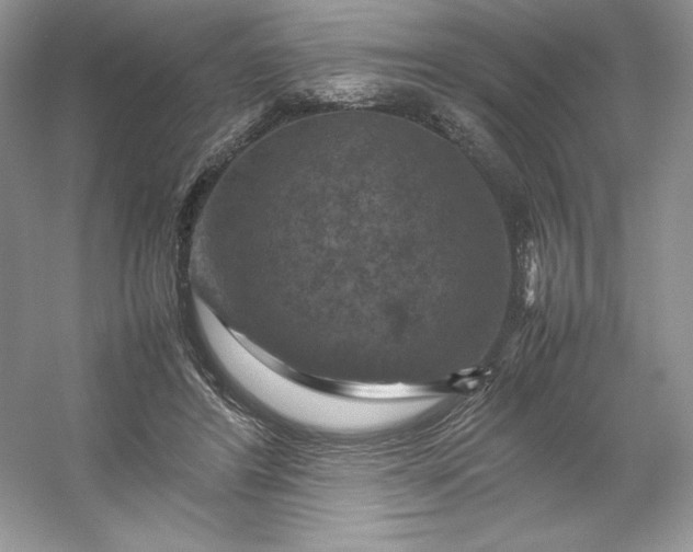 X0000053130404200507251754