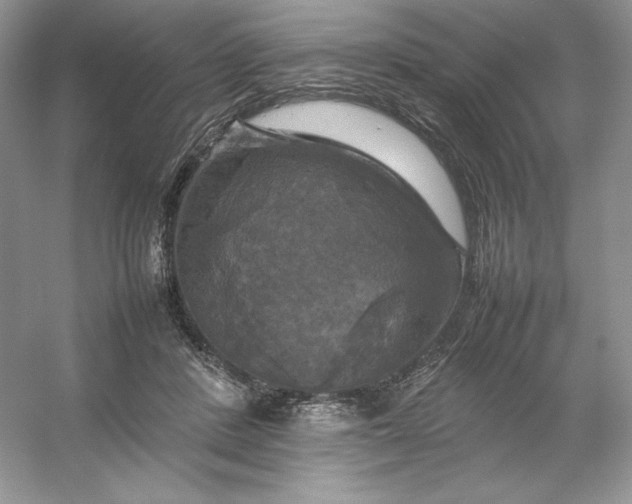 X0000053130408200507251754