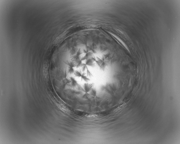 X0000053130409200507251754