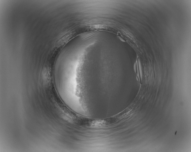 X0000053130410200507251754