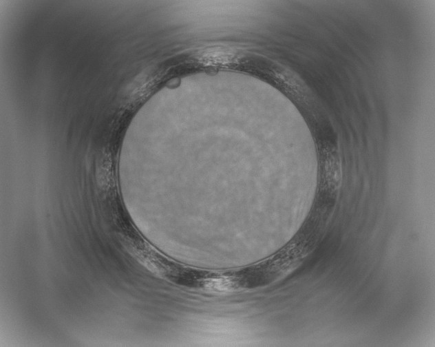 X0000053130411200507251754