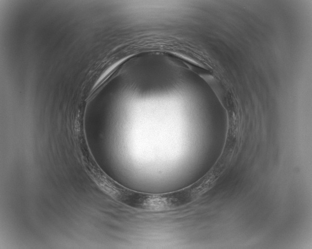 X0000053130413200507251754