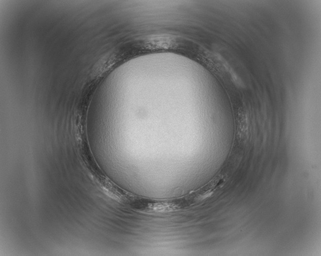 X0000053130414200507251754