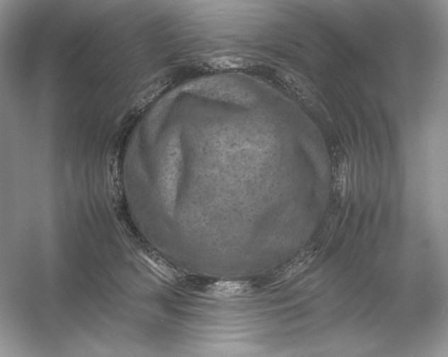 X0000053130418200507251754