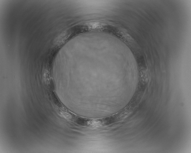X0000053130419200507251754