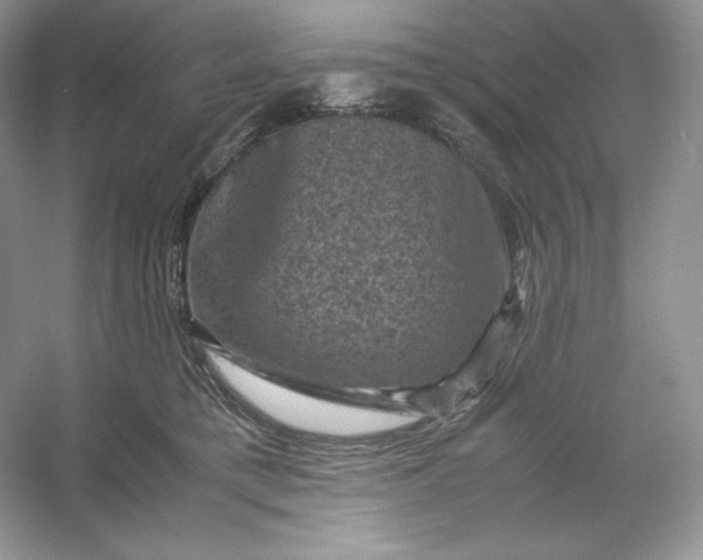 X0000053130421200507251754