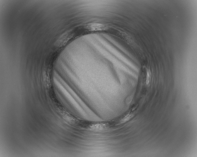 X0000053130422200507251754