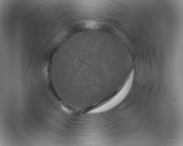 X0000053130424200507251754