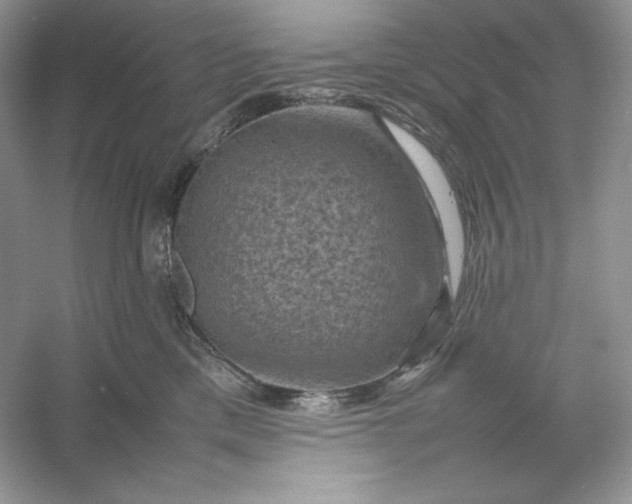 X0000053130425200507251754