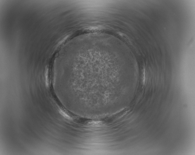 X0000053130428200507251754
