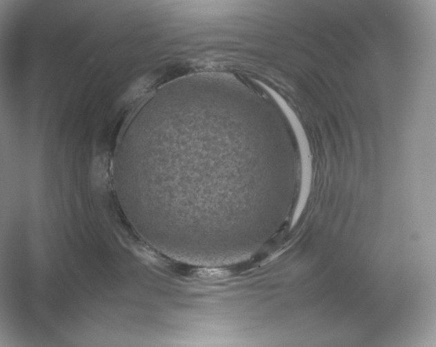 X0000053130429200507251754