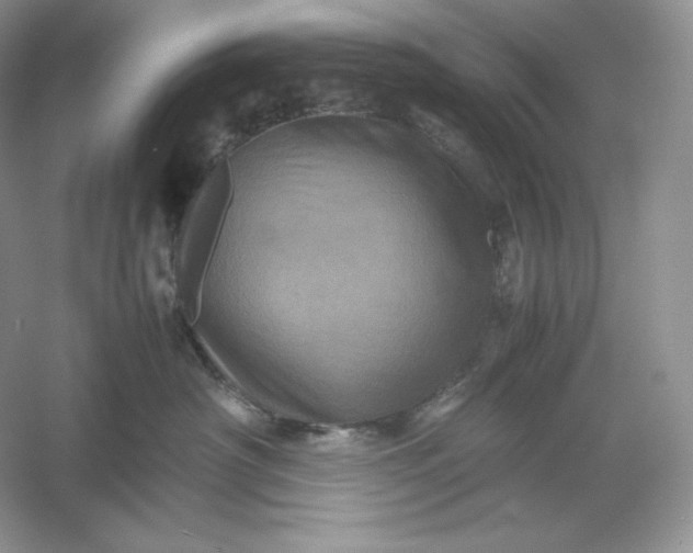 X0000053130430200507251754