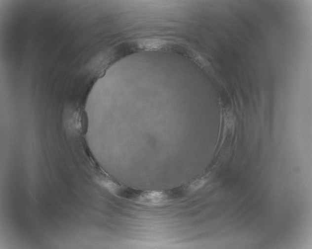 X0000053130431200507251754