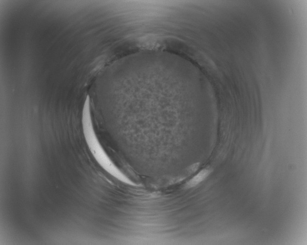 X0000053130432200507251754