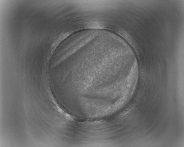 X0000053130433200507251753