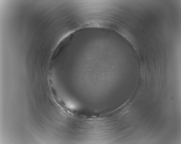 X0000053130434200507251753
